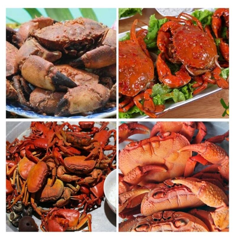 Các món ngon từ thịt cua đá