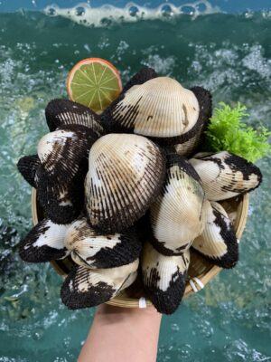 Combo ốc hàu giá rẻ cho tiệc Quốc tế Phụ nữ 8/3 năm 2026 tại Hải Sản Lộc