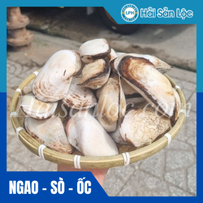 Sò Dẹo HSL
