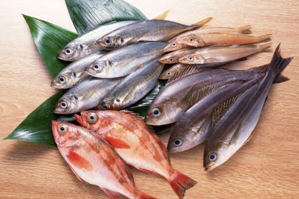 Cách quan sát và chọn mua cá biển ngon