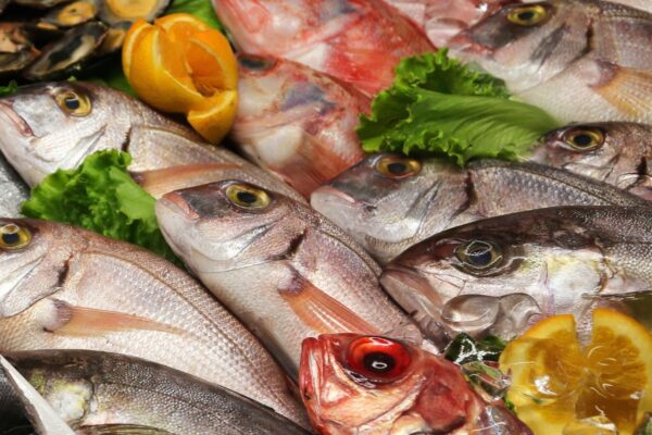 Cách quan sát và chọn cá nước ngọt ngon thịt ngọt thịt