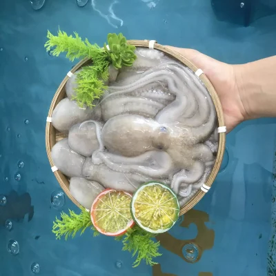 Bạch Tuộc Giòn sống