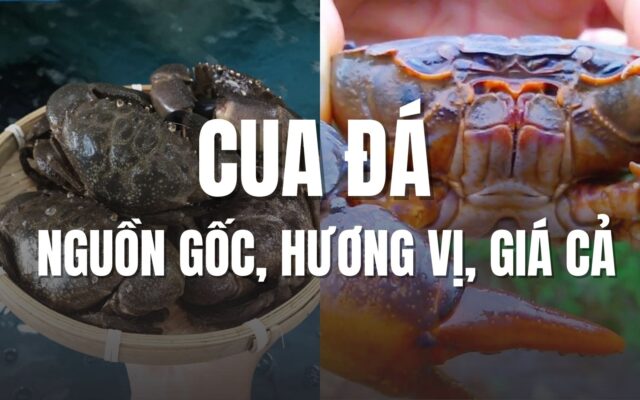 Cua đá nguồn gốc, hương vị, giá cả