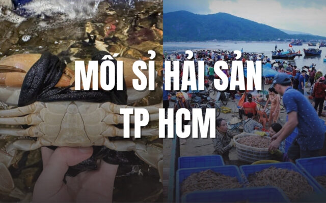 Mối sỉ hải sản TP HCM