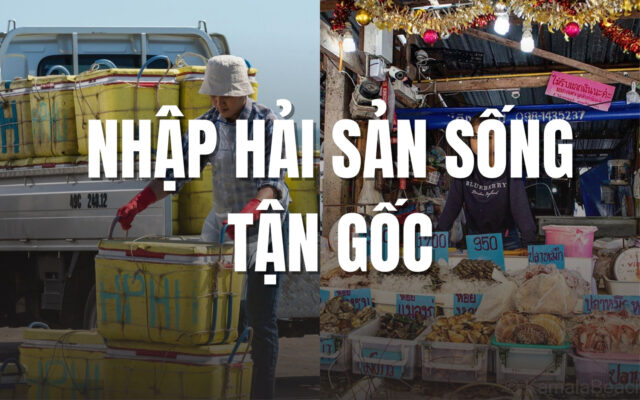 Nhập hải sản sống tận gốc