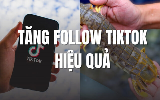 Cách tăng follow tiktok hiệu quả nhanh chóng