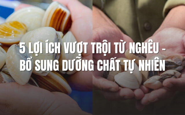 5 lợi ích tuyệt vời từ nghêu