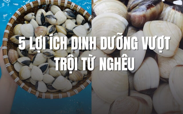 5 lợi ích tuyệt vời từ việc ăn nghêu trắng