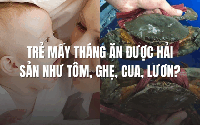 Trẻ mấy tháng sẽ ăn được hải sản như tôm ghẹ