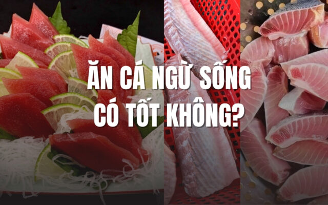 Ăn Cá Ngừ Sống Có Tốt Không? Những Lợi Ích Và Nguy Cơ Cần Biết