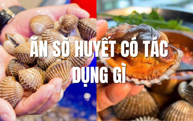Ăn Sò Huyết Có Tác Dụng Gì Cho Sức Khỏe?