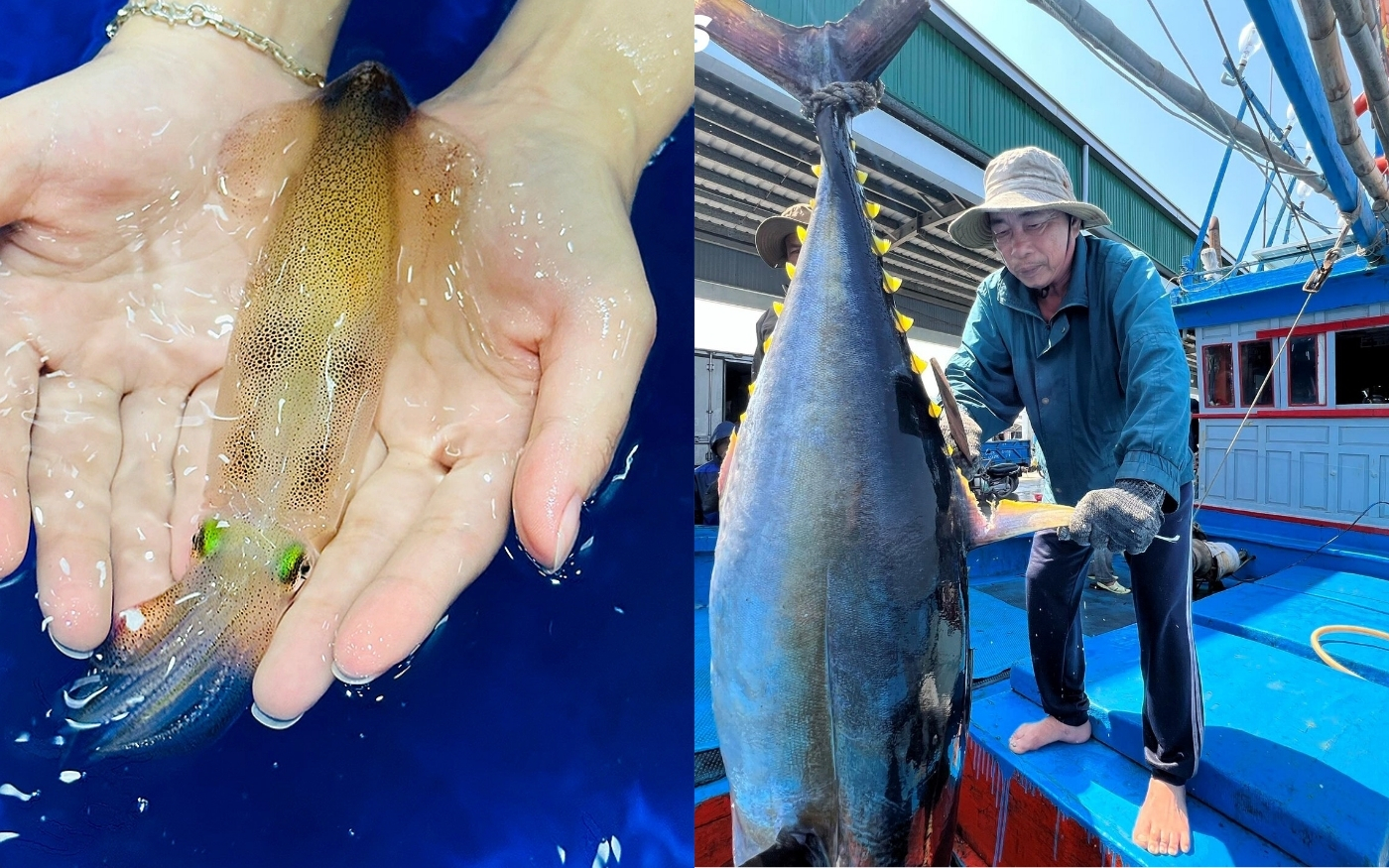 Cải Thiện Tâm Trạng và Giảm Căng Thẳng