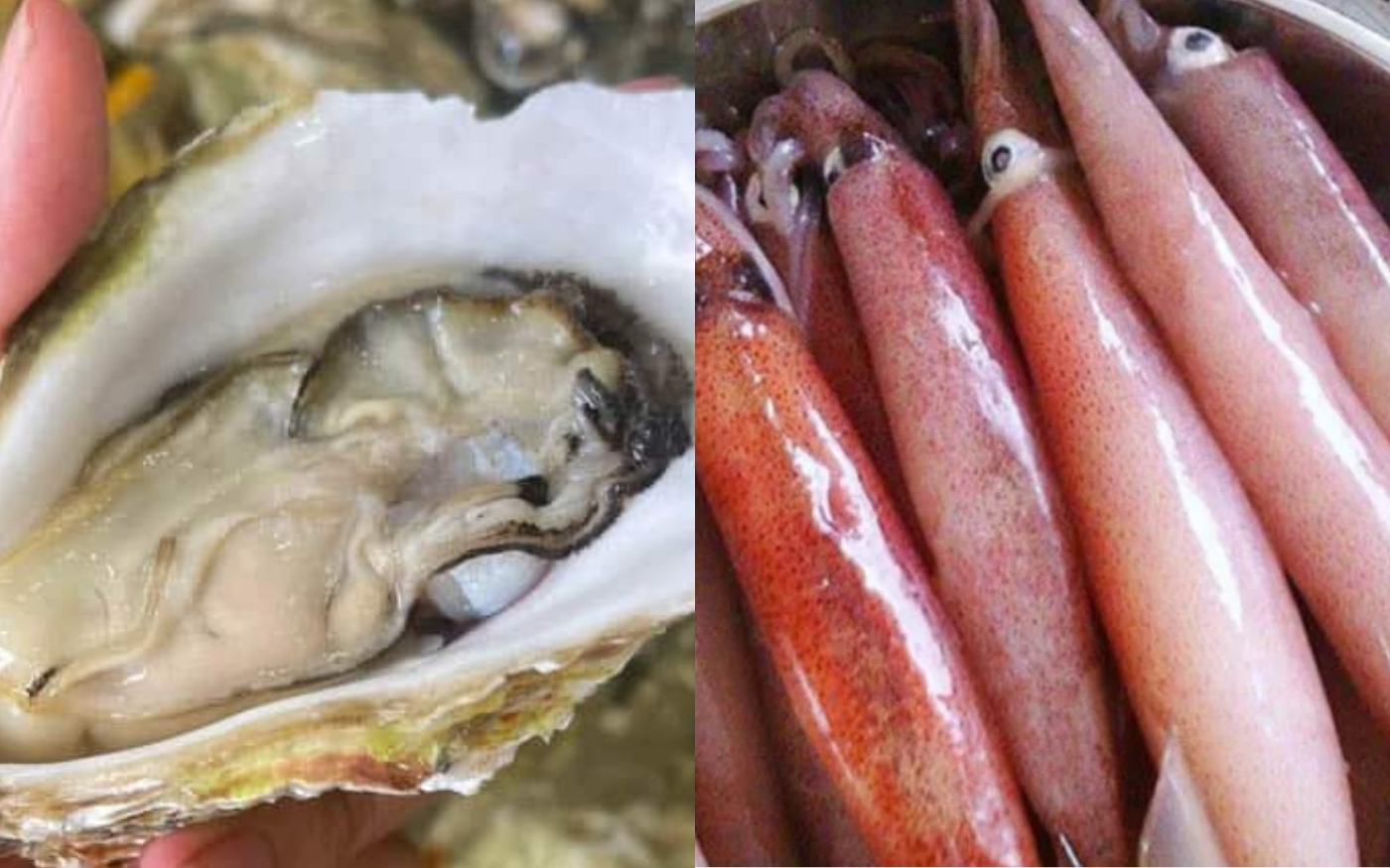 Hỗ Trợ Phát Triển Não Bộ Và Thị Lực Của Thai Nhi