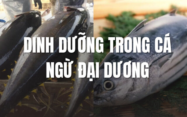 Thành Phần Dinh Dưỡng Trong Cá Ngừ Đại Dương – Lợi Ích Sức Khỏe Vượt Trội Và Lưu Ý Khi Tiêu Thụ