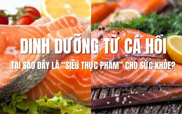Dinh Dưỡng Từ Cá Hồi