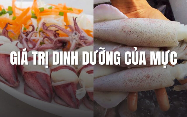 Giá Trị Dinh Dưỡng Của Mực Và Lợi Ích Vượt Trội Đối Với Sức Khỏe