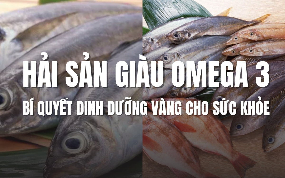 Hải sản giàu Omega 3