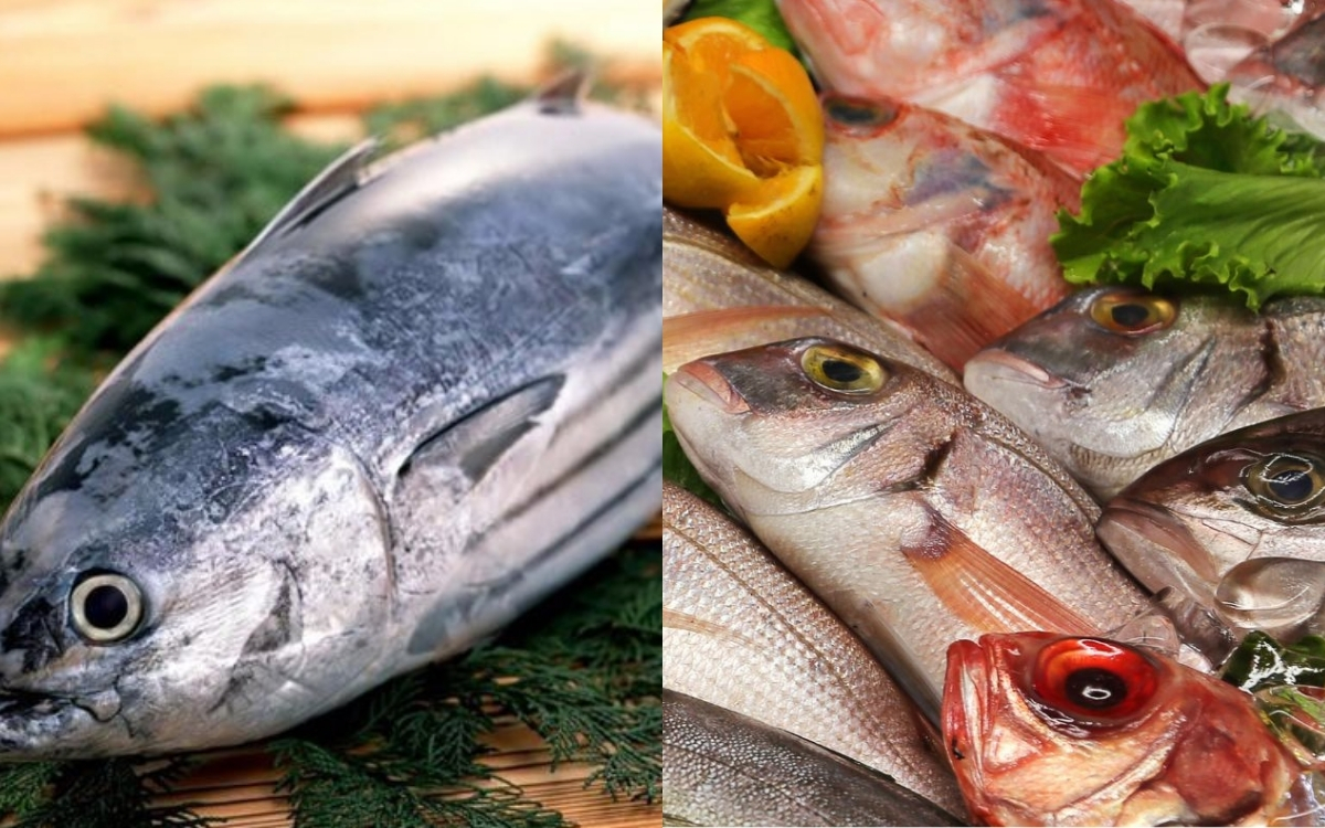 Tại Sao Hải Sản Là Nguồn Cung Cấp Omega 3 Tự Nhiên Tốt Nhất?