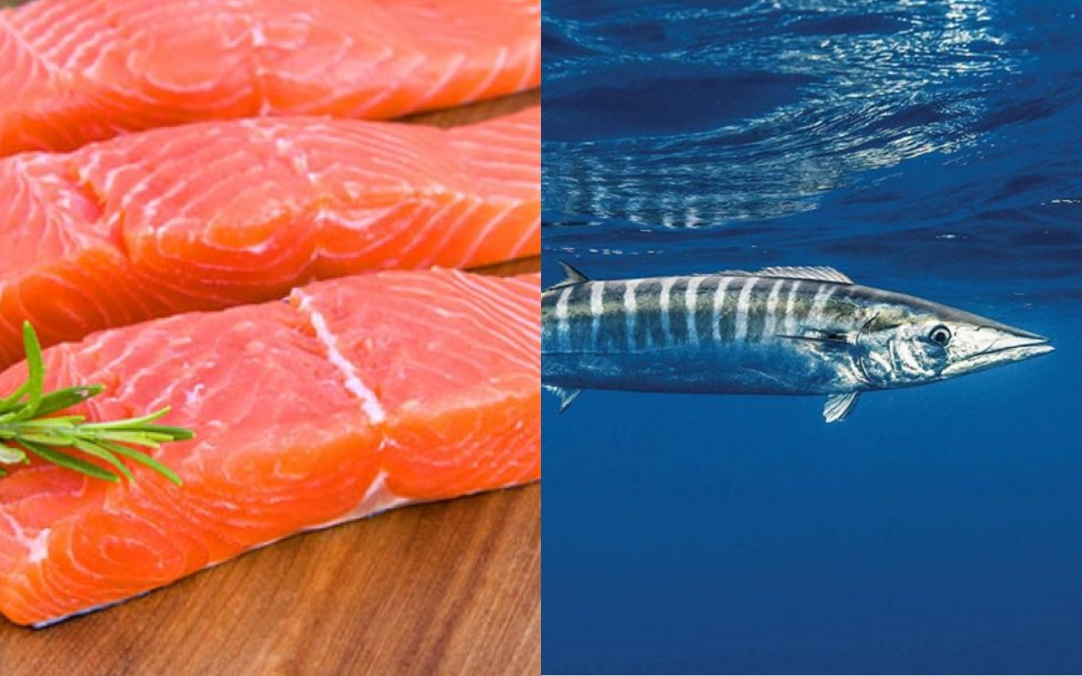 Những Loại Hải Sản Giàu Omega 3 Bạn Nên Bổ Sung