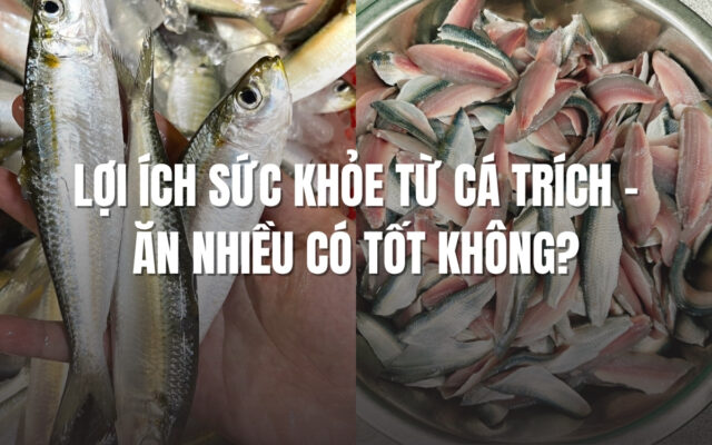 Lợi Ích Sức Khỏe Từ Cá Trích – Ăn Nhiều Có Tốt Không?