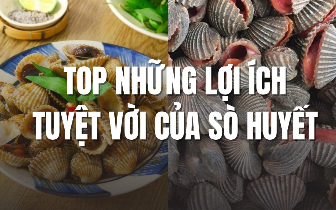 Những lợi ích tuyệt vời từ sò huyết