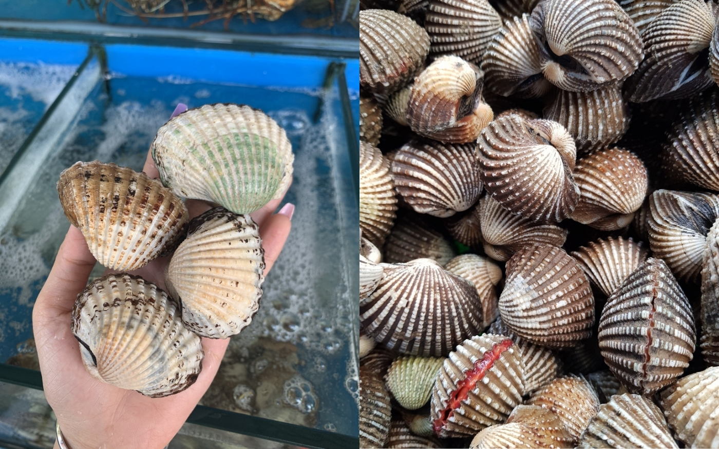 Cải Thiện Sức Khỏe Xương Khớp Nhờ Canxi, Magie và Photpho