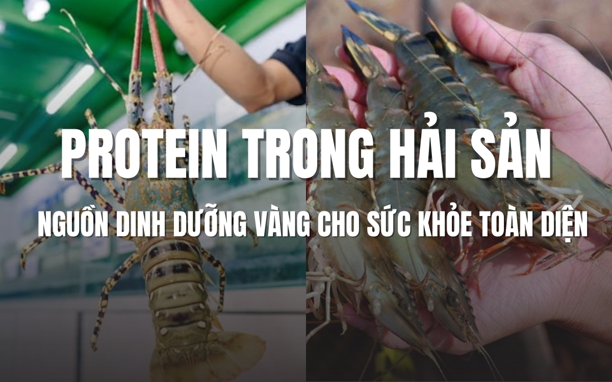 Protein trong hải sản
