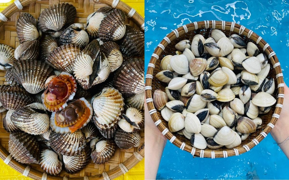 Tầm Quan Trọng Của Việc Chọn Hải Sản Sống