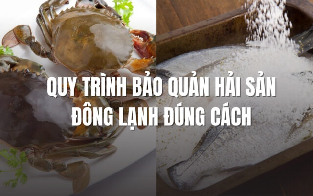 Quy Trình Bảo Quản Hải Sản Đông Lạnh Chuẩn Kỹ Thuật