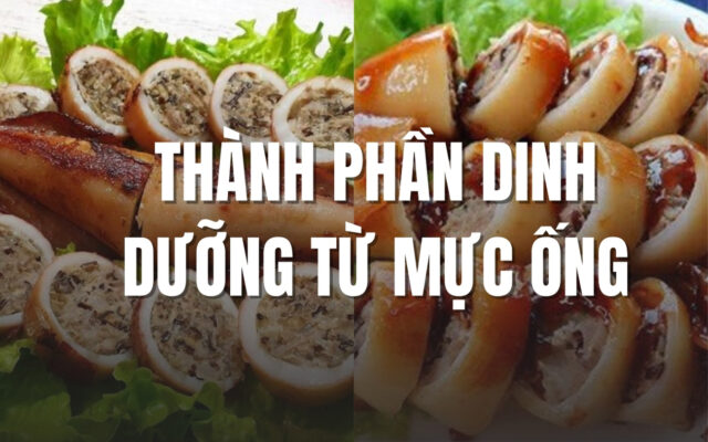 Thành Phần Dinh Dưỡng Từ Mực Ống – Lợi Ích Sức Khỏe Vượt Trội Không Phải Ai Cũng Biết