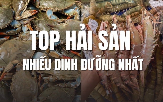 TOP hải sản nhiều dinh dưỡng nhất