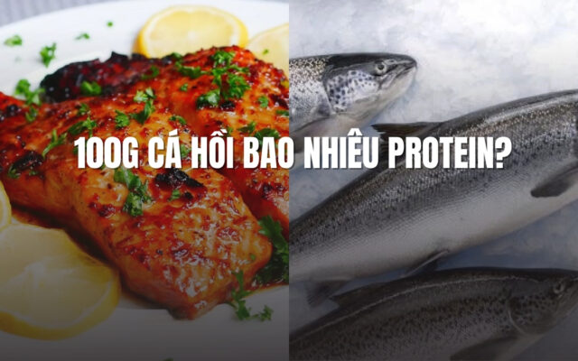 100g cá hồi bao nhiêu g protein