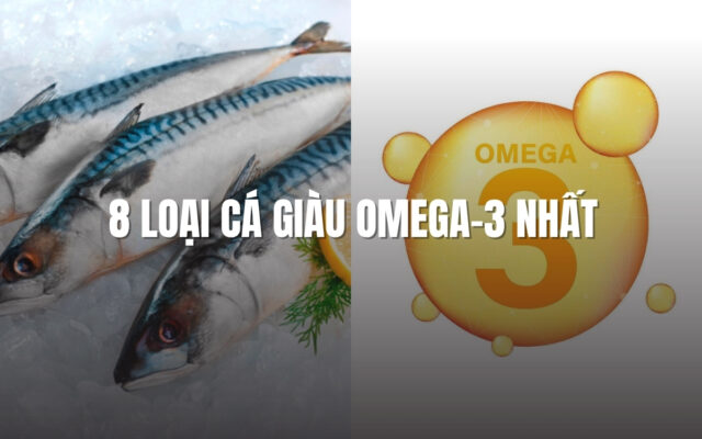 8 loại cá giàu Omega 3