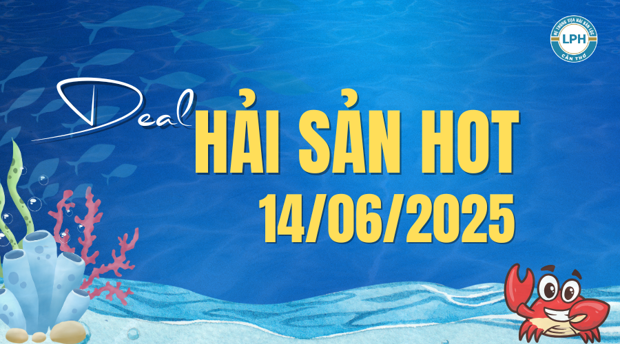 DEAL HOT HẢI SẢN LỘC NGÀY 14/06/2025