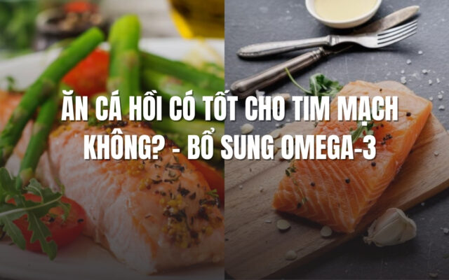 Ăn Cá Hồi Có Tốt Cho Tim Mạch Không? – Bổ Sung Omega-3