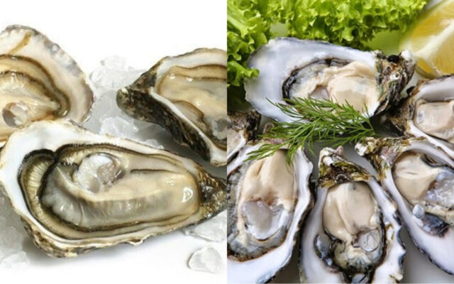 Hàu – Thực Phẩm “Đại Bổ” Với Hàm Lượng Dưỡng Chất Đa Dạng