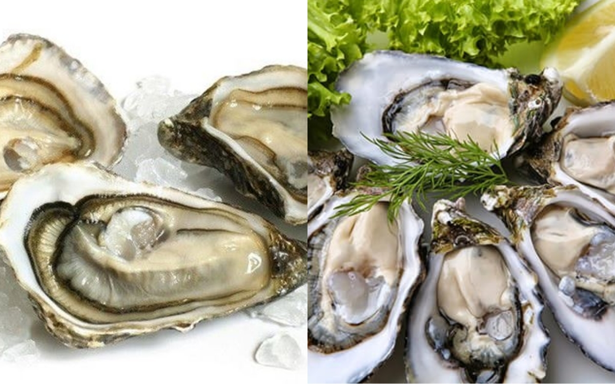 Hàu – Thực Phẩm “Đại Bổ” Với Hàm Lượng Dưỡng Chất Đa Dạng