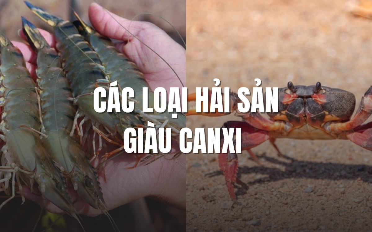 Các loại hải sản giàu Canxi