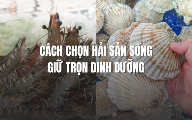 Cách chọn hải sản sống giữ trọn được dinh dưỡng