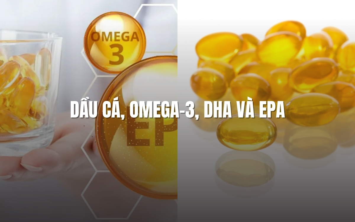 Dầu cá Omega 3 DHA và EPA cho cơ thể