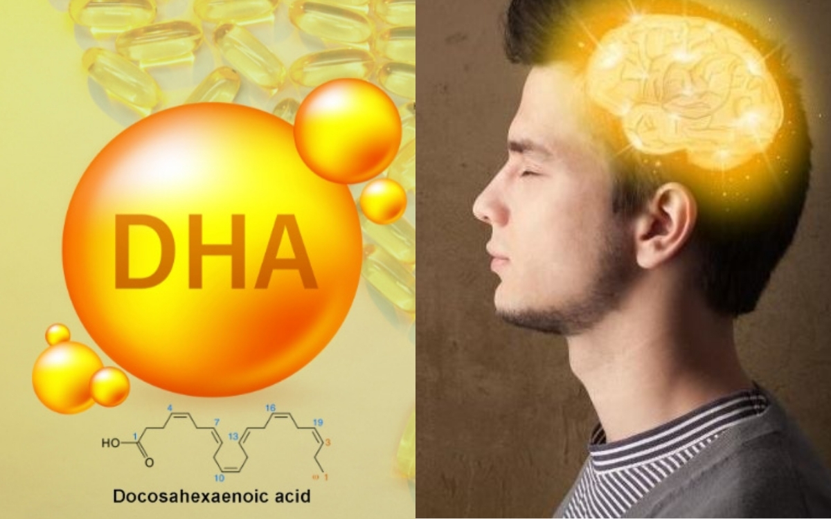 DHA – Thành Phần Vàng Cho Não Bộ Và Mắt