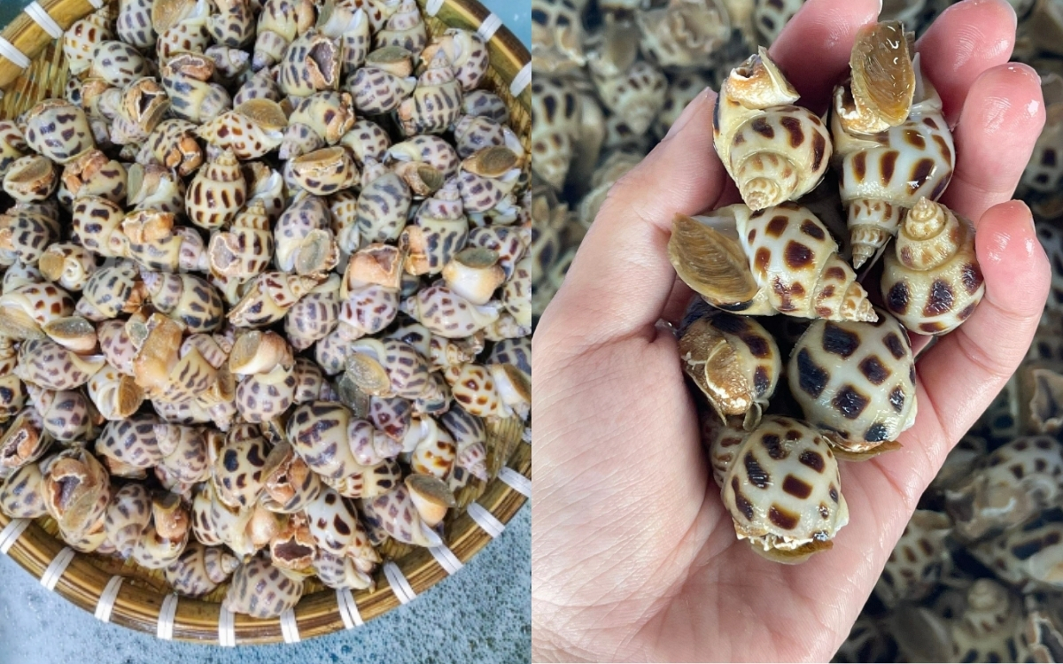 Tăng Cường Hệ Miễn Dịch Nhờ Kẽm Và Selen
