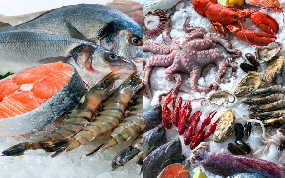 Protein – Đạm Sạch Giữ Được Độ Tinh Khiết
