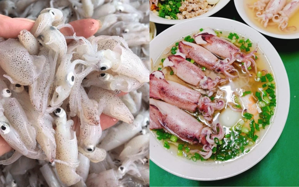 Mực Sữa – Protein Tinh Khiết Không Kèm Carb