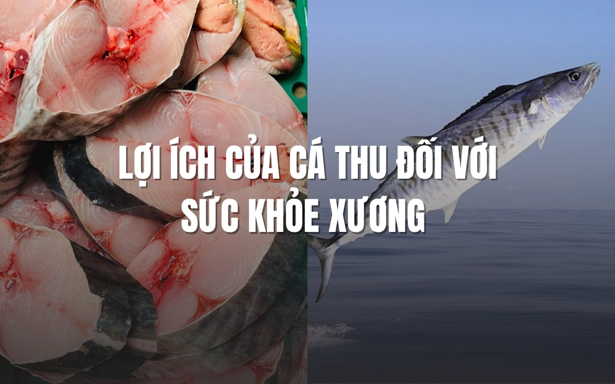 Lợi ích của cá thu đối với xương khớp