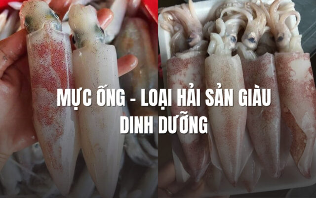 Mực ống - loại hải sản giàu dinh dưỡng cho cơ thể
