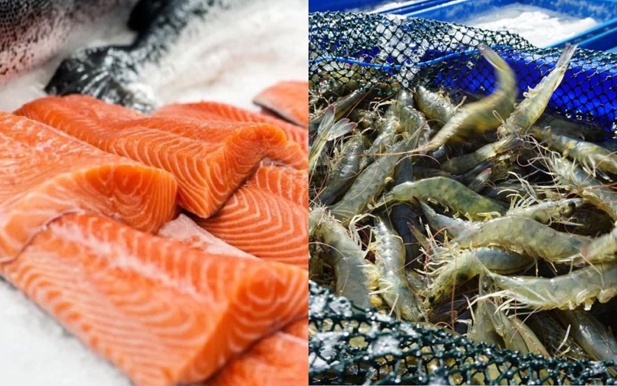Bảng So Sánh Dinh Dưỡng Chi Tiết Giữa Tôm Và Cá Hồi Sống