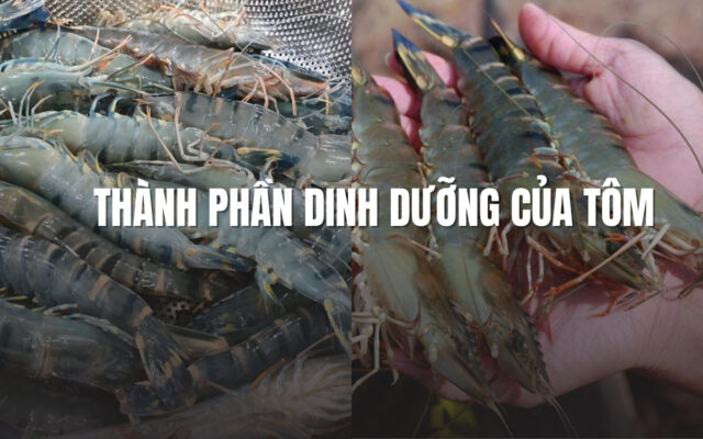 Thành phần dinh dưỡng của tôm