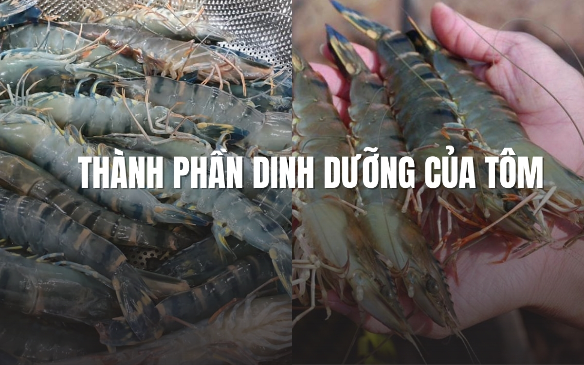 Thành phần dinh dưỡng của tôm