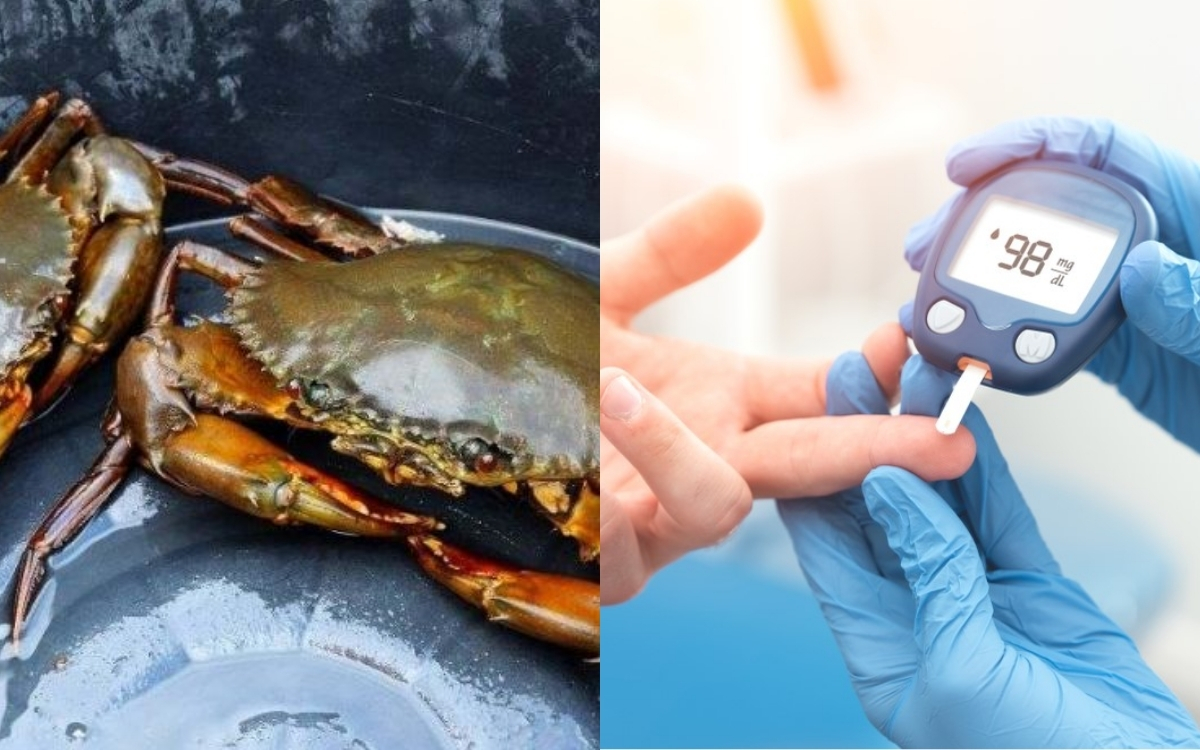 Tiểu Đường Có Nên Ăn Cua? Giải Đáp Từ Chuyên Gia Dinh Dưỡng